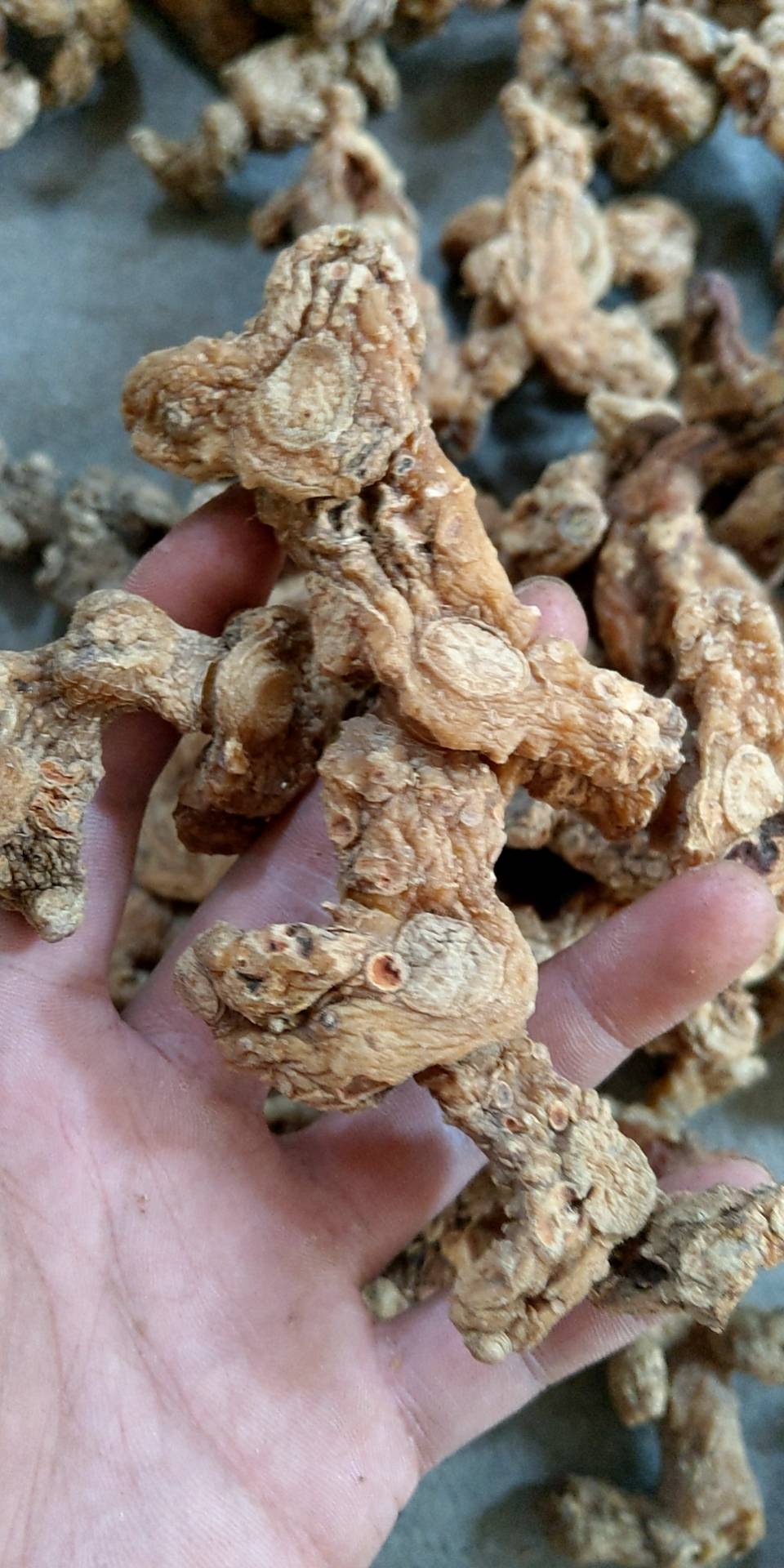 湖南产地多花姜型黄精干货,统货,去皮货,可挑选中大货