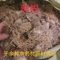 葱根，葱须干水洗品质量保证，经营各种中药材！