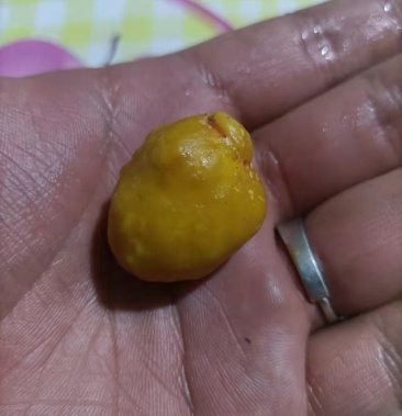 [鸡宝批发]鸡宝(中药材)价格1.00元/克 - 一亩田