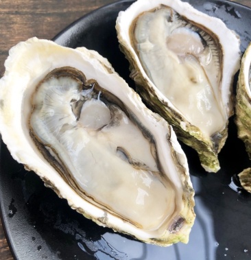 养殖户直发广东台山生蚝三倍体生蚝壳薄肉厚