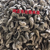 【新货】东北黑木耳肉厚柔滑良心好货保质保量大小规格