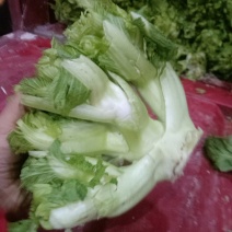 儿菜