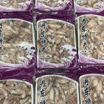 小八爪鱼