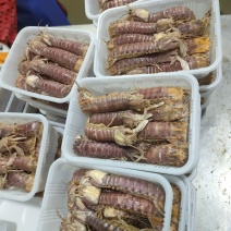 全规格，熟冻皮皮虾，大公中公小公，9成肉
