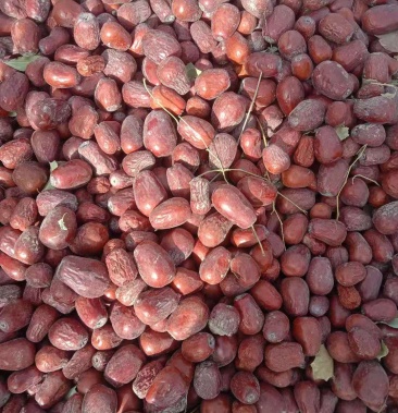 和田民丰县尼雅乡红枣