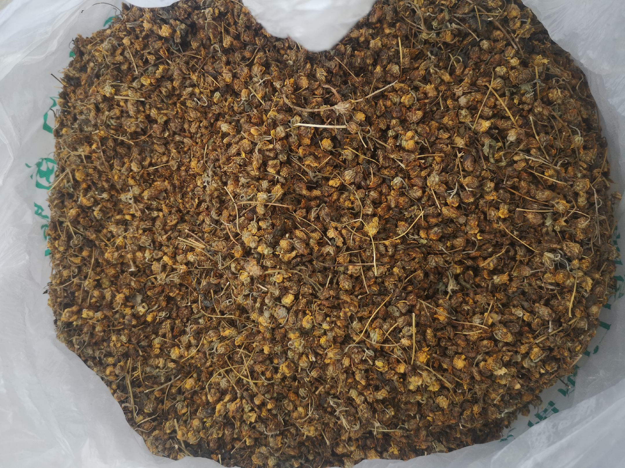 干燥的野菊花被广泛用于中药材和养生茶饮中 野菊花制成的中药材