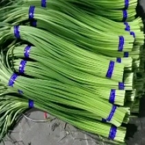蒜苔加工销售各种优质蒜苔规格齐全物美价廉