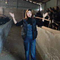 肉驴养殖，改良德州驴，公母都有，大小齐全