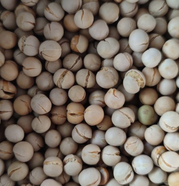 熟川豆木丸子白豌豆熟货炒货