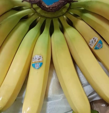 佳农进口菲律宾香蕉大量现货,口感超甜,超糯