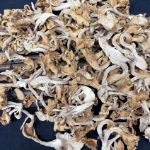 鸡油菌