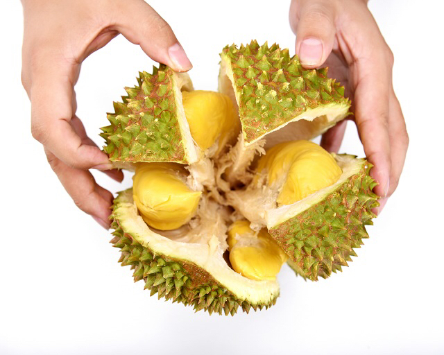 猫山王家庭享用场景图