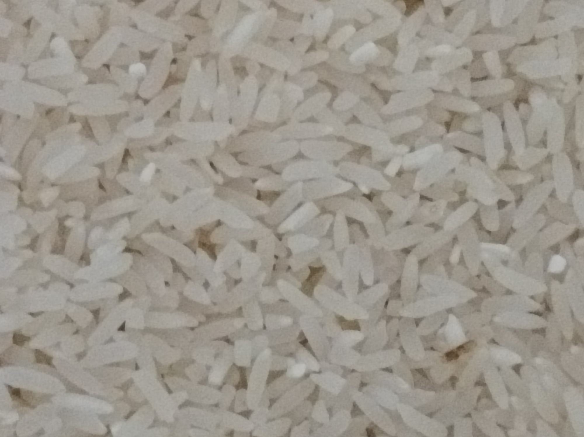 小米与多种食材搭配示意图