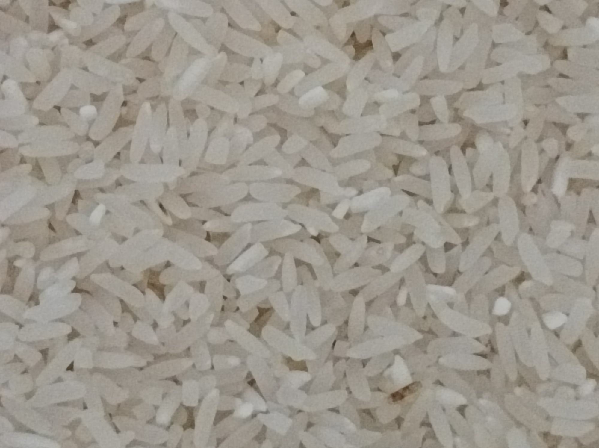 小米与白米的营养对比