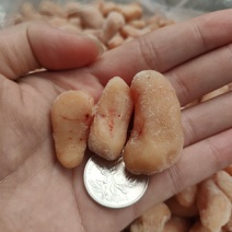 速冻鸡腰子中小号鸡春子精选新鲜鸡腰特级公鸡蛋鸡子鸡卵