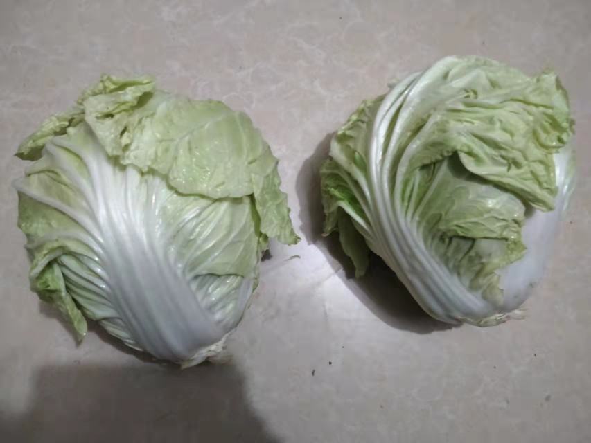 高清俯拍图:白菜帮丝、白菜叶条、土豆丝三者并排摆放,尺寸严格统一为3cm长×2mm宽,色泽分明,表面微润无水珠,体现‘三脱水’与‘冰醋水护色’处理效果 白菜和土豆切丝对比特写:左侧为淡青色白菜帮细丝与嫩绿菜叶条,右侧为淡黄色土豆细丝,两者长度、粗细高度一致,铺在白色砧板上,背景虚化