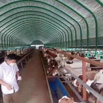 养殖大棚骨架钢管全套养鸡场猪棚牛棚羊圈搭建椭圆管大棚