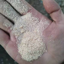 金沙河益海次粉3.0到5.0灰分都有大量有货