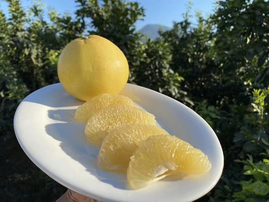 一张春季家庭餐桌照片,桌上有一盘剥好的柚子果肉,旁边是粥和小菜,窗外有绿树和阳光,体现春季健康饮食的生活氛围 家庭餐桌上的柚子食用场景