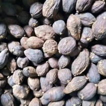 干草果，老货，足干。有3吨货