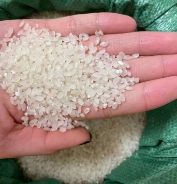 盘锦本地优质大米蟹米共生产地直发盘锦本地自产