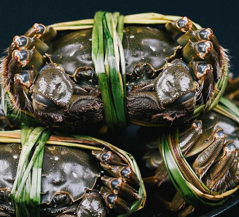 工作人员正在检查大闸蟹的活力和外观,确保其新鲜度 检查大闸蟹的鲜活程度