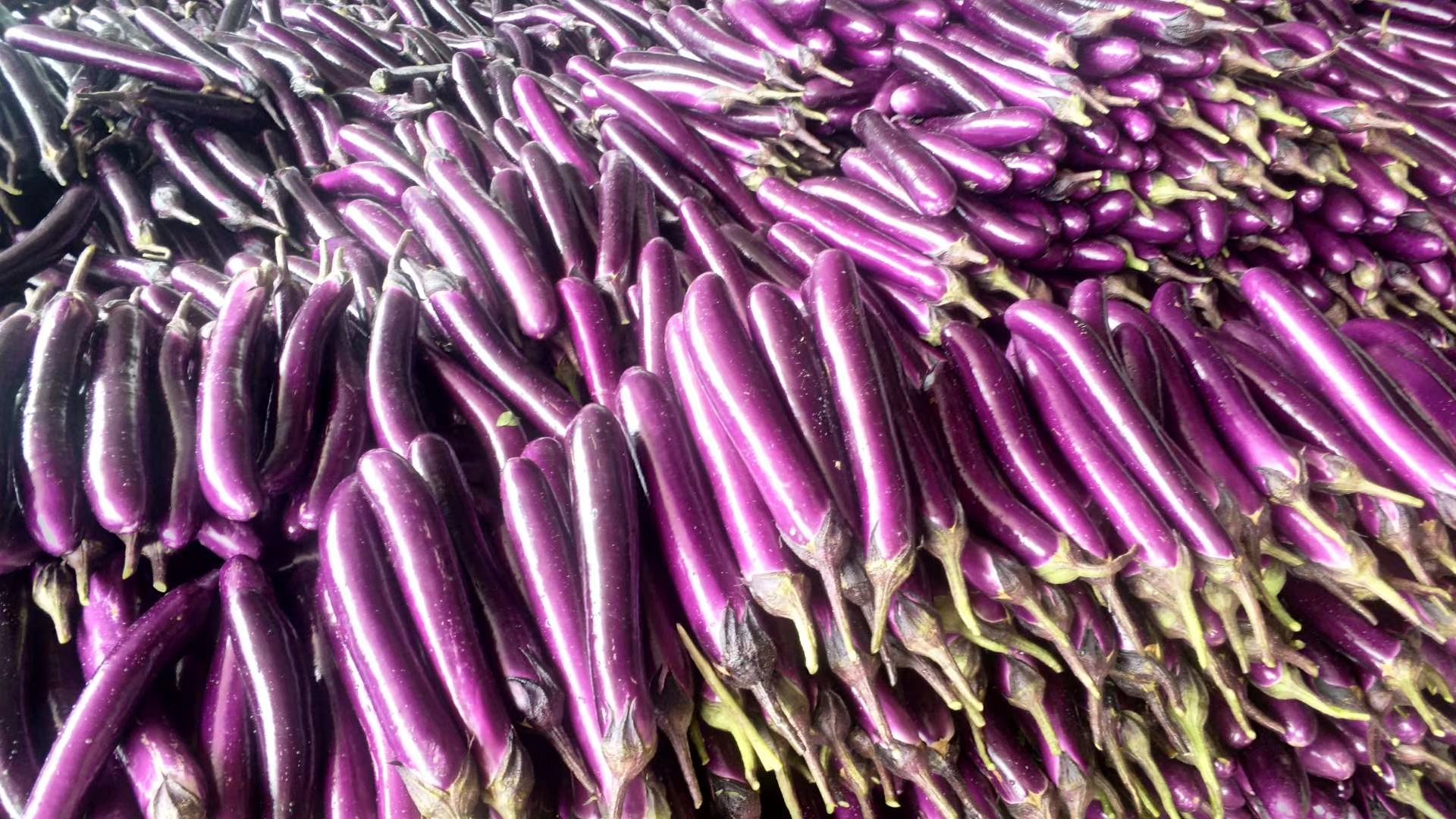 冬季市场中的新鲜茄子