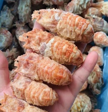 俄罗斯熟冻虾爬子船汽蒸速冻美味锁鲜