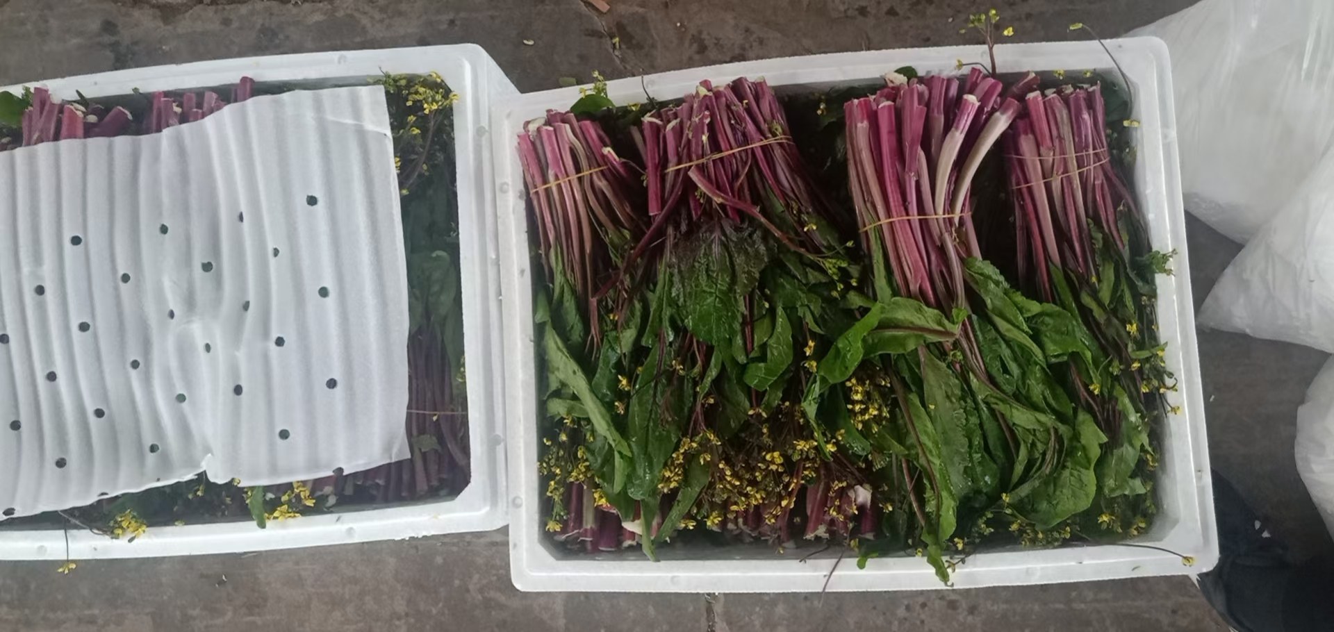 清江雪芽在高端商超陈列实景：保鲜柜内整齐摆放带根菜苔，包装盒印有地理标志与富硒认证标识