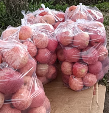 红富士苹果10斤装每袋30元送货上门