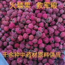 火棘果，中药材救军粮火把果水杈子欢迎咨询选购！