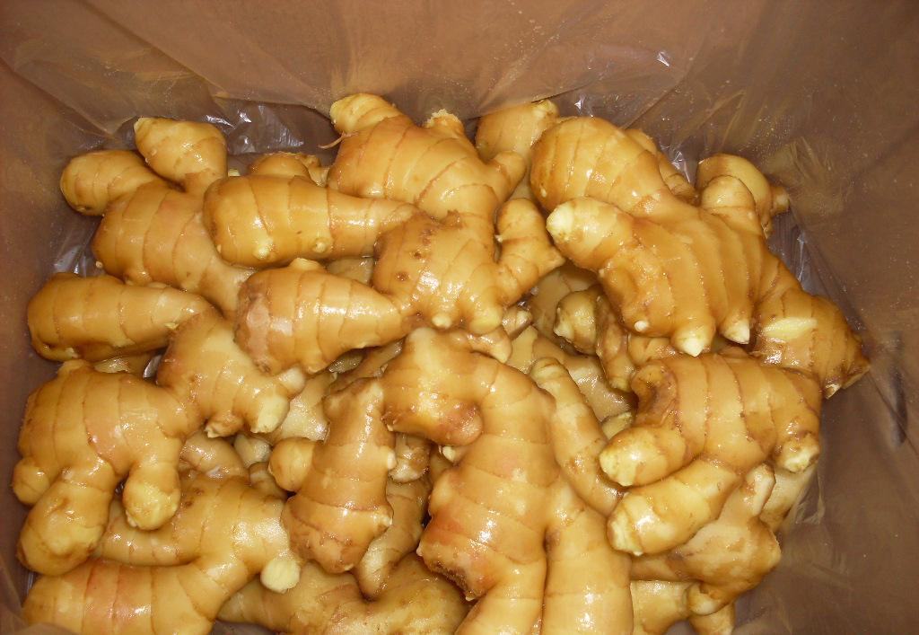 山东大姜的特写照片