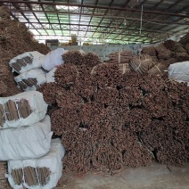 广东肇庆市德庆县精品桂皮工厂原产地直销量大从优