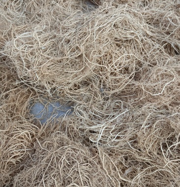 [徐长卿批发]山东徐长卿种植基地寮刁竹根 辽刁竹 中草药材 逍遥竹