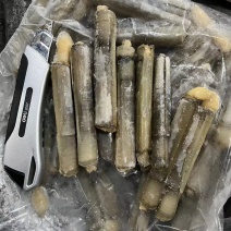 巴基竹蛏，