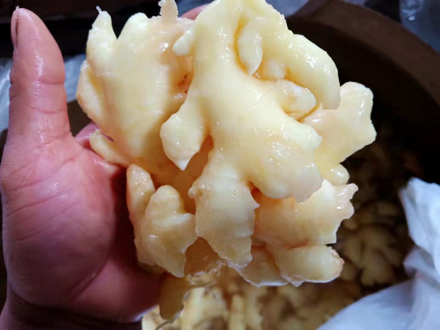 图示展示了一罐家庭自制的醋泡姜成品,色泽晶莹,呈淡黄色,浸泡在透明醋液中 家庭自制醋泡姜成品图