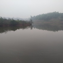 鱼塘转让