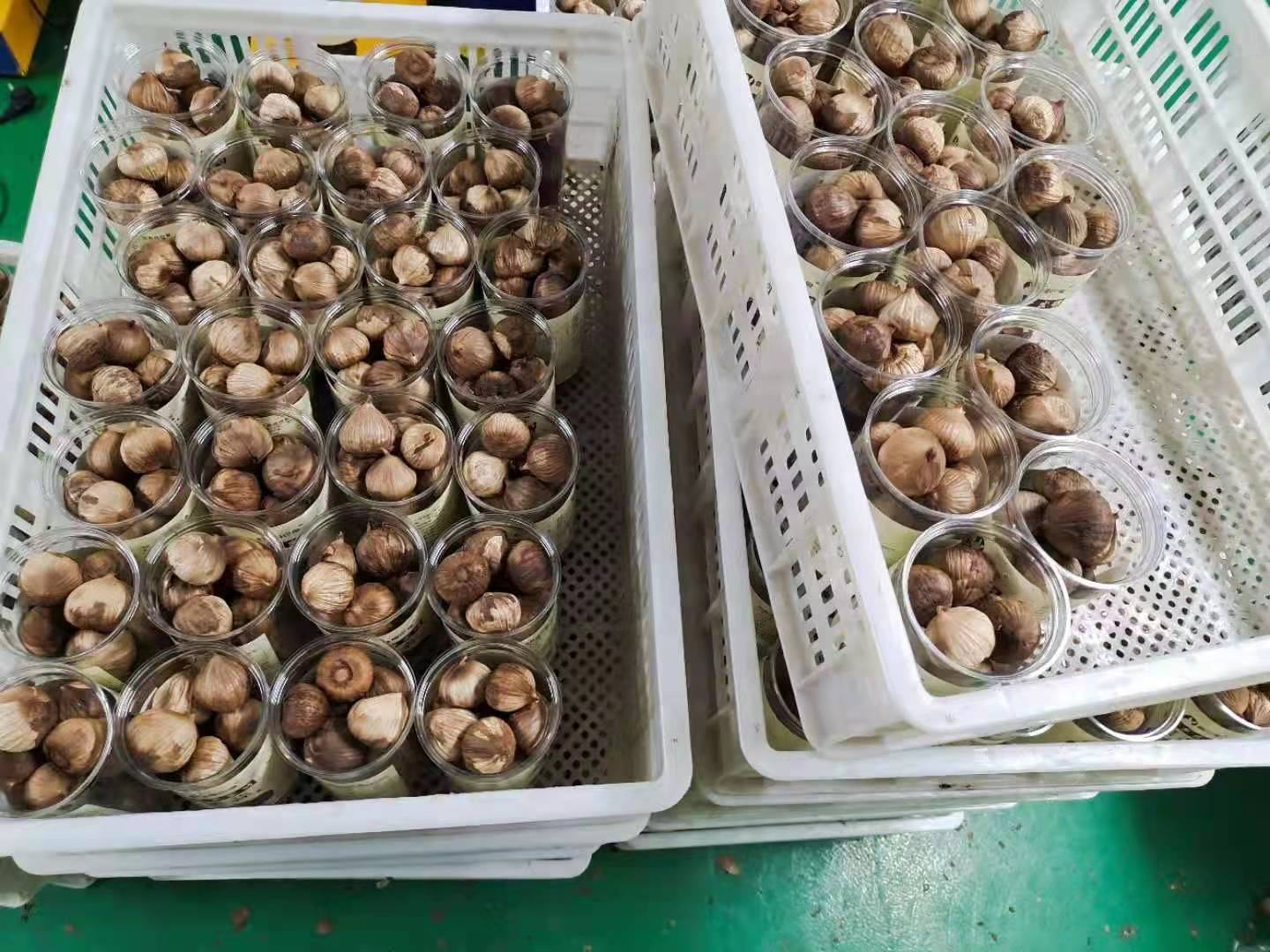 黑大蒜料理成品图