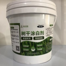 树干涂白剂保温防冻隔离病虫耐雨淋防啃咬不掉粉