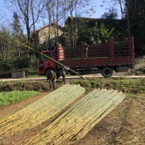 竹杆支撑杆3-8米大量供应基地直供
