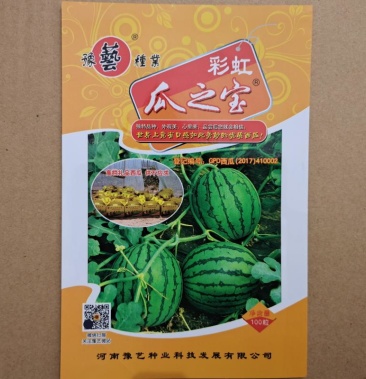 彩虹瓜之宝西瓜种子豫艺种业正宗彩虹西瓜口感酥脆冰淇淋味道