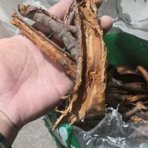 睇牛仔苦里根黎辣根不满意可退换货保证正品