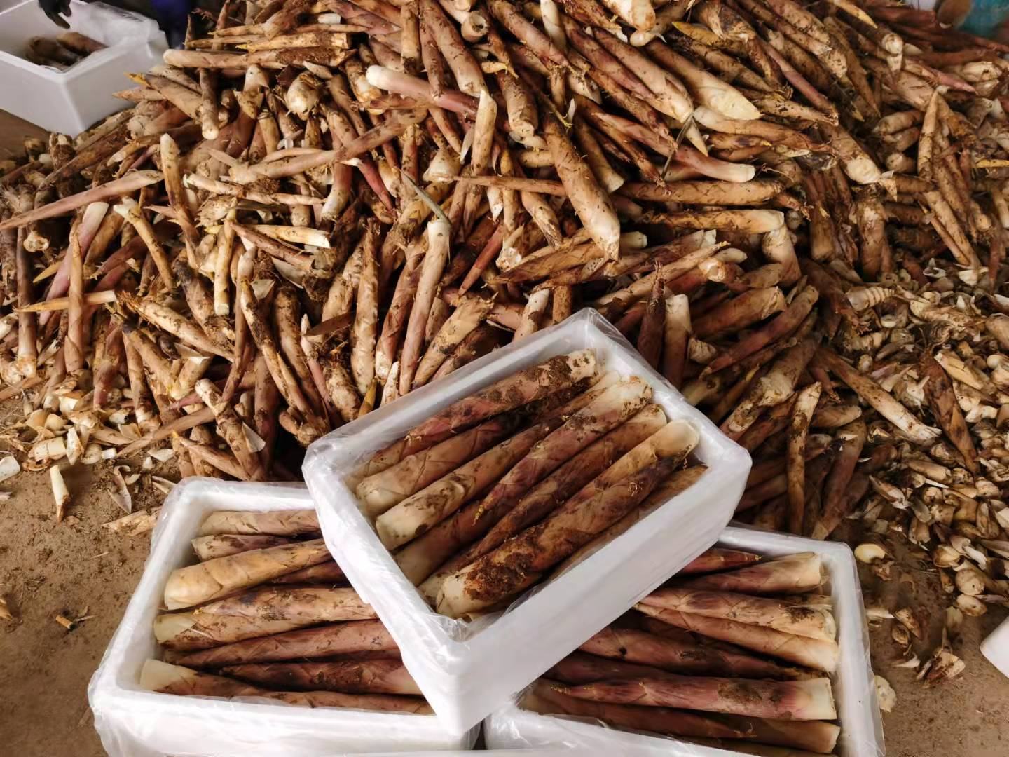 雷竹笋电商打包发货现场