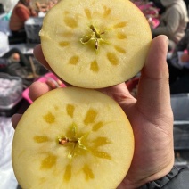 新疆阿克苏苹果冰糖心苹果红富士苹果甜度高产地直发