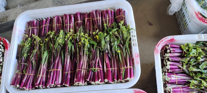 市场摊位上的新鲜红菜苔捆扎销售场景