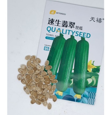 [丝瓜种子批发]速生翡翠短棒油皮丝瓜种子白籽油丝瓜10克原装发货价格