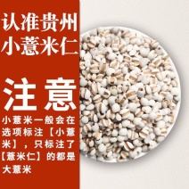 【贵州发货】贵州小薏米仁产地发货小薏仁米多规格可选包邮