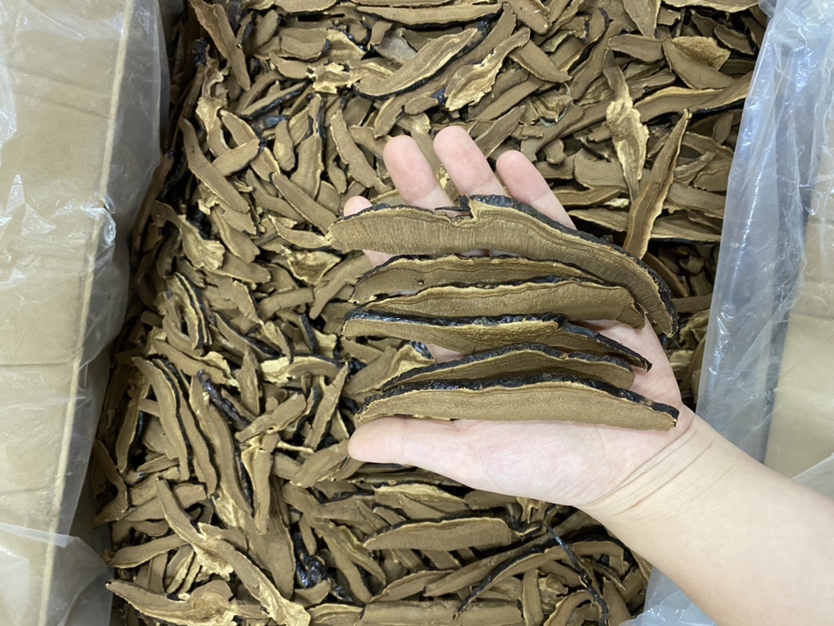 传统中式养生场景：青瓷煎药壶置于竹制蒸笼上，壶口升腾温润水汽，壶旁摆放一小碟刚切好的灵芝切片与一册线装《本草纲目》节选页，背景虚化为木质药柜与悬挂的铜铃