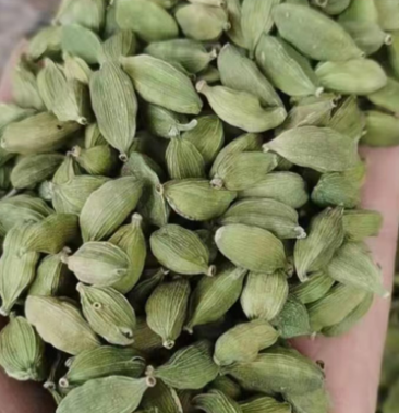 [豆蔻批发]原装进口绿豆蔻批发~10公斤牛皮纸袋装 一袋起发价格180.