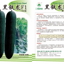 黑铁龙冬瓜种子。杂交一代，抗病性第一，